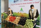 مجموعة غزة تبدأ بتنفيذ مشروع من صغار المزارعين الى الأسر المستورة في قطاع غزة