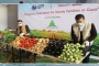 Gaza Group starts implementing from Small Farmers to Needy Families in the Gaza Strip